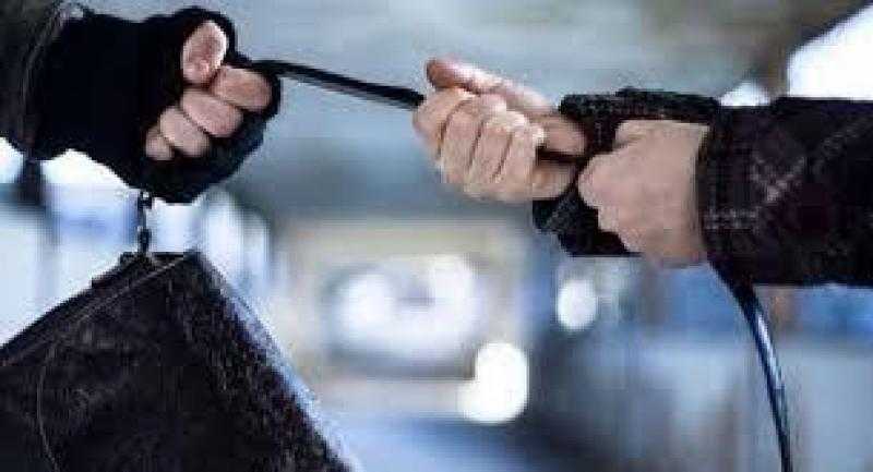 حبس متهم لسرقته حقيبة يد من سيدة بالوايلي