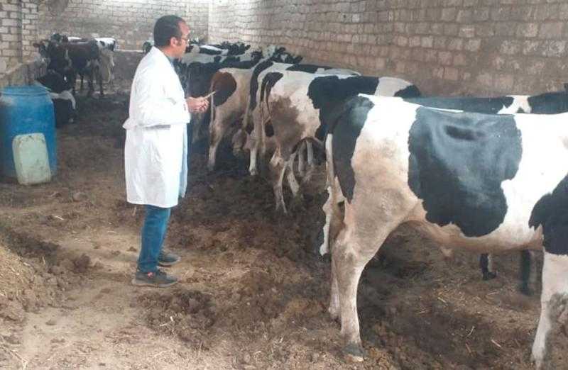 حملة مكثفة للطب البيطري لتحصين الثروة الحيوانية بدمياط