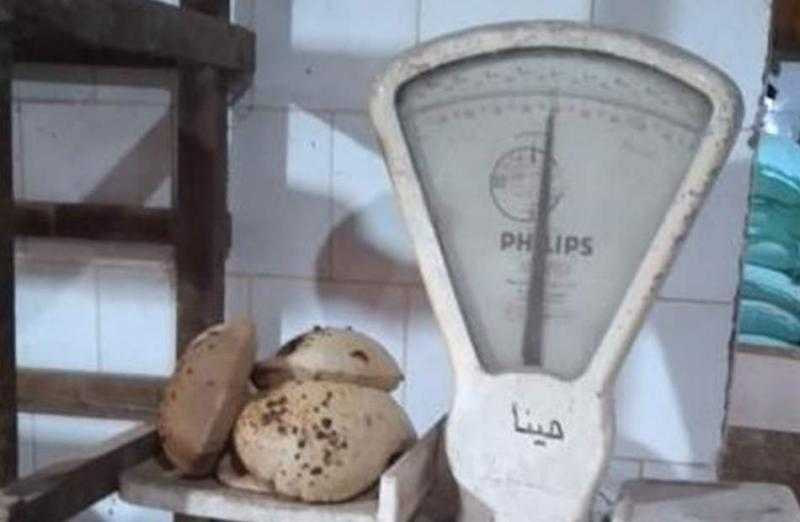 رصد أفران غير ملتزمة بمواصفات الإنتاج للخبز في كفرالزيات