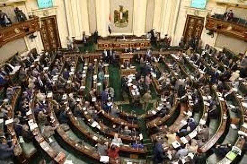 ”حقوق الإنسان” بالنواب: اللجنة ترصد انتهاكات الاحتلال لمخاطبة البرلمانات العالمية