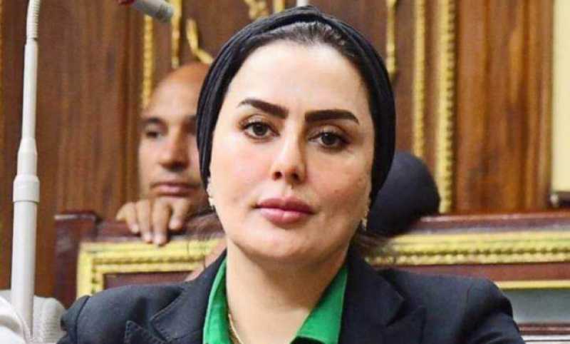النائبة رحاب موسى: لقاء الرئيس السيسي ونظيره الزيمبابوي يهدف لتعزيز التعاون بين البلدين