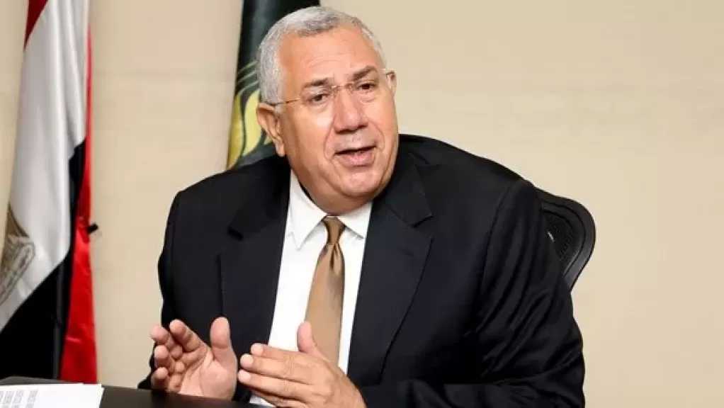السيد القصير: المناخ الديمقراطي في مصر متاح.. ومشاركة المواطنين الضامن الحقيقي لنزاهة الانتخابات