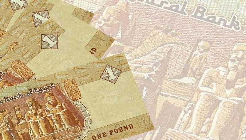 بلومبرج: المركزي المصري يدرس إصدار «الجنيه الرقمي» بالتعاون مع جهات عالمية