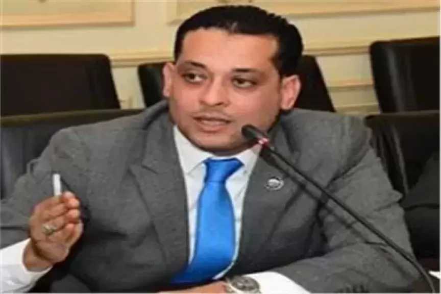 محمد نشأت: ثورة 30 يونيو أنقذت الدولة ورسخت تمكين الشباب والمرأة وفتحت آفاق التنمية أمام المصريين