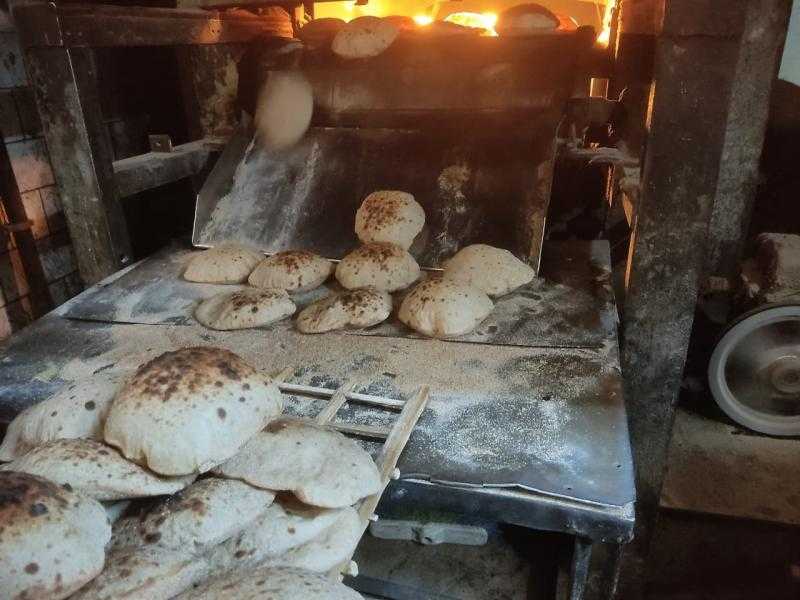 تموين الإسكندرية تحرر 97 محضرا لمخابز بلدية في المنتزة والعجمى والعامرية