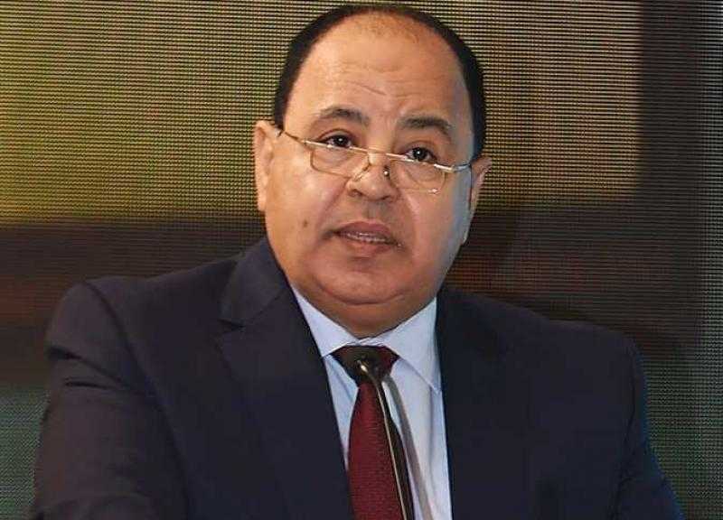 وزير المالية: الهيئات الاقتصادية حققت 2.3 مليار جنيه إيرادات و178 مليارا أرباحا