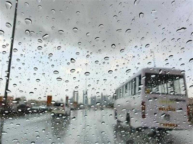 طقس شتوي بارد وشبورة مائية صباحا في كفرالشيخ
