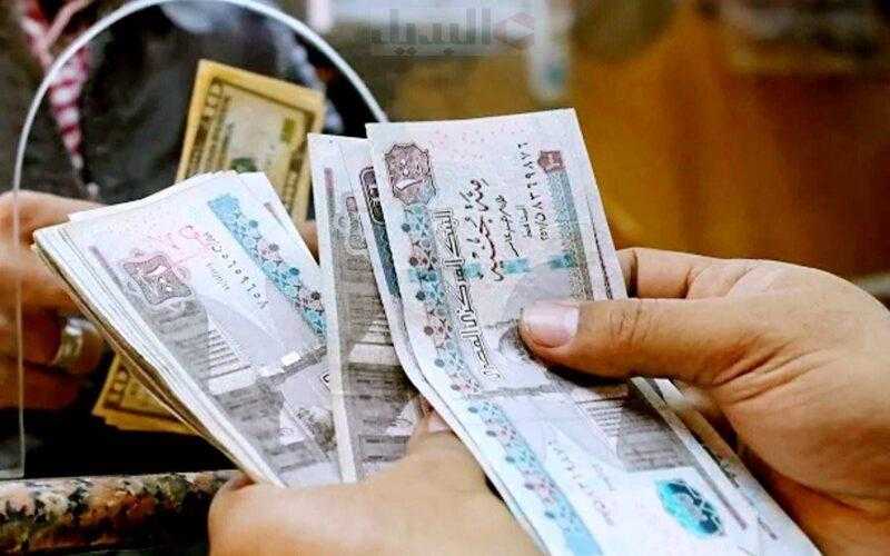 المالية تعلن موعد صرف مرتبات شهر يناير