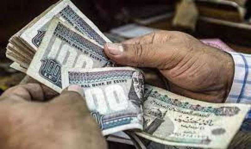 إتاحة خدمة استخراج البيانات على منظومة توحيد معايير الأجور