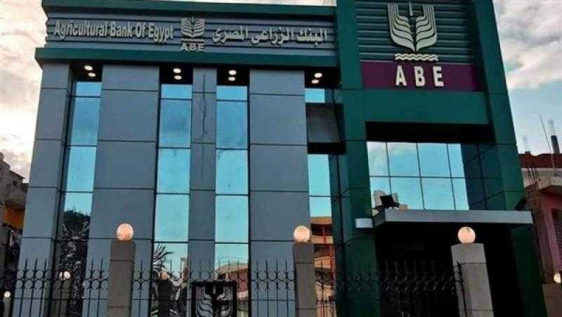 البنك الزراعي: القروض الموجهة لدعم وتمويل القطاع الزراعي تستحوذ على 80% من محفظة الائتمان