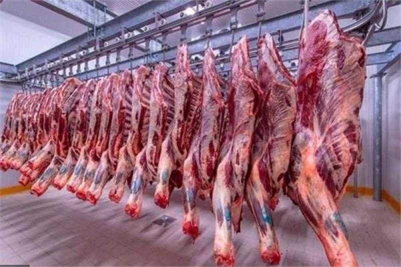 طرح لحوم بلدية بأسعار مخفضة للمواطنين في أبوقرقاص بالمنيا