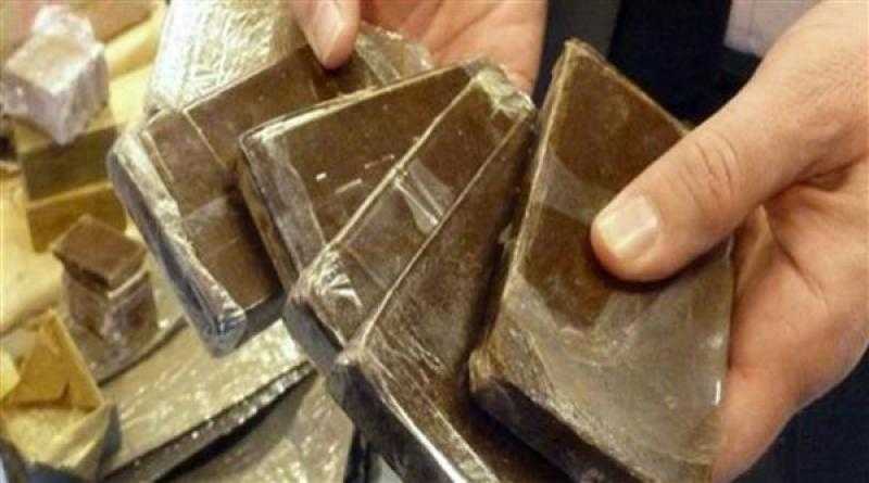 حبس 4 متهمين بحيازة 116 طربة حشيش قبل ترويجها بالشرقية