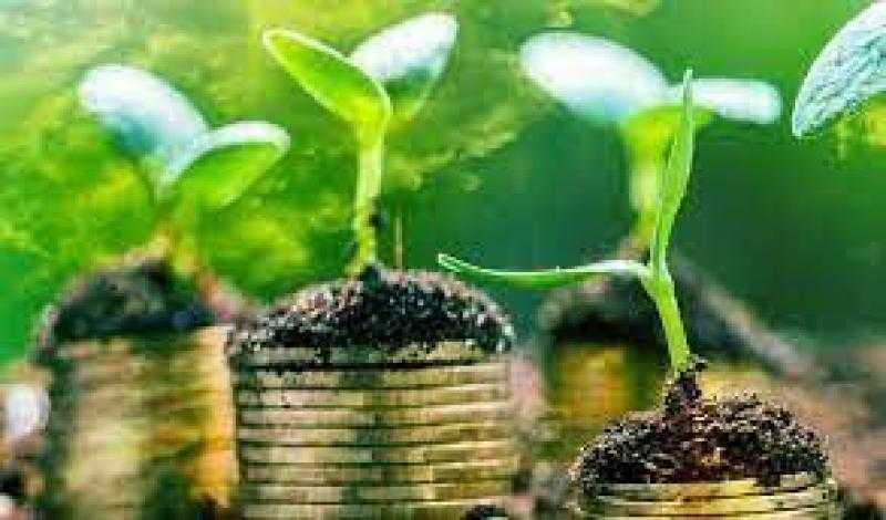 التخطيط: زيادة نسبة الاستثمارات العامة الخضراء بنسبة 50% في العام المالي الجديد