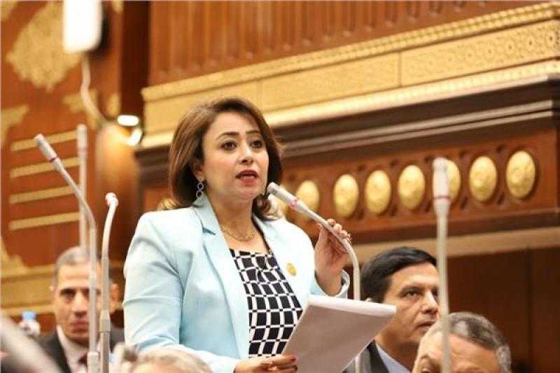 رشا إسحق: قرار استنئاف المرحلة الثانية من الحوار الوطني يؤكد أن الدولة المصرية برئاسة الرئيس السيسي تستمع لكل الآراء الوطنية