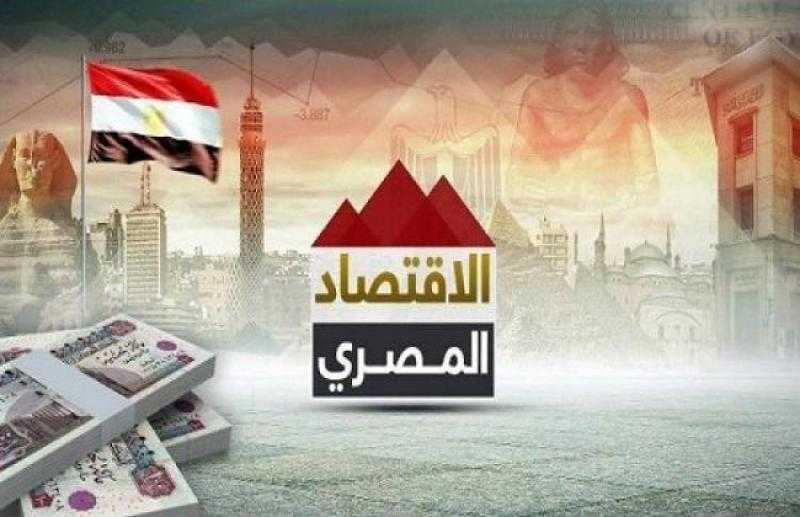 اقتصادي: تعظيم جهود الدولة في الإنتاج المحلي أدى لزيادة 17%