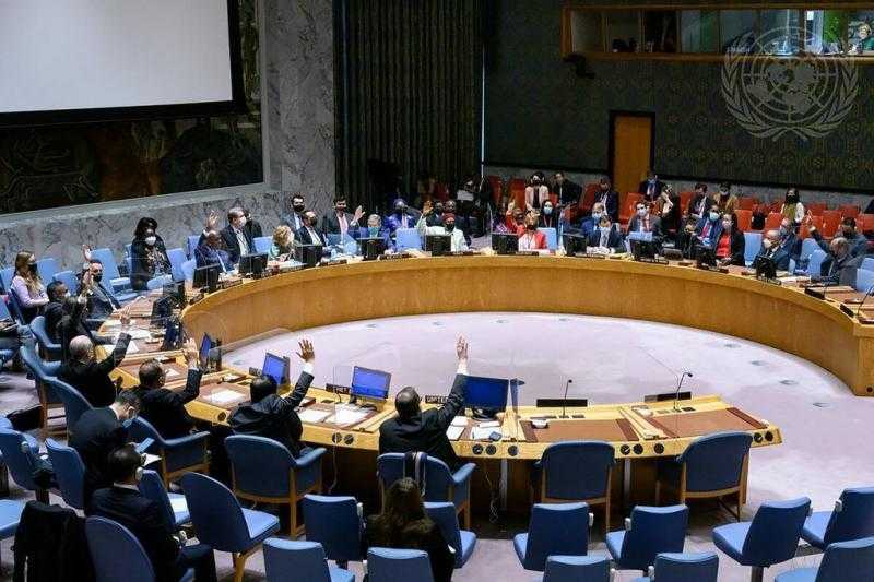 دبلوماسيون: مرافعة مصر أمام محكمة العدل الدولية ستفضح انتهاكات إسرائيل