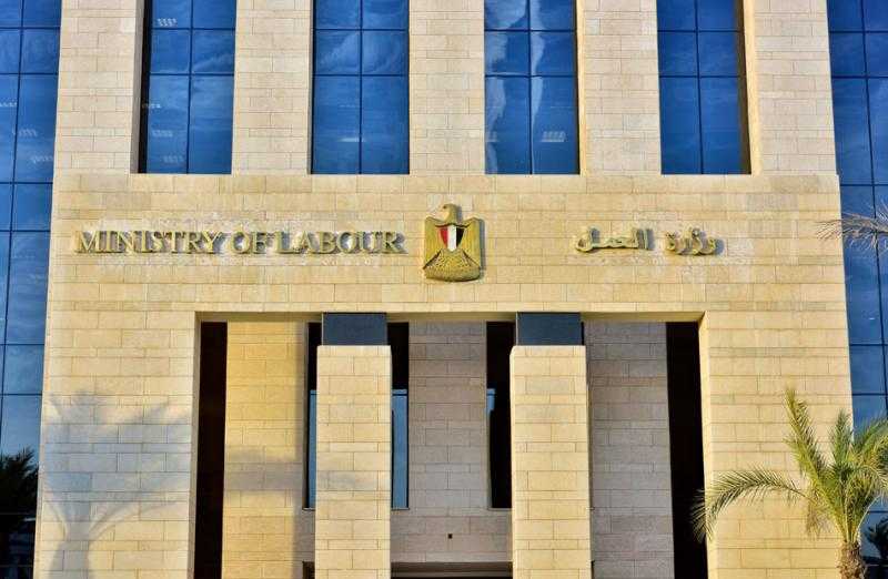بالأرقام.. خطة وزارة العمل لتدريب وتشغيل أصحاب الهمم