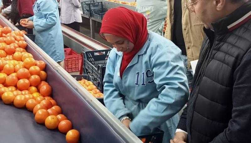سلامة الغذاء: زيارات ميدانية لمحطات تعبئة الموالح لمتابعة الموسم التصديري