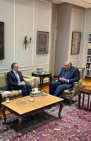 وزير الخارجية يستقبل مرشح مصر لمنصب مدير عام منظمة ”اليونسكو”