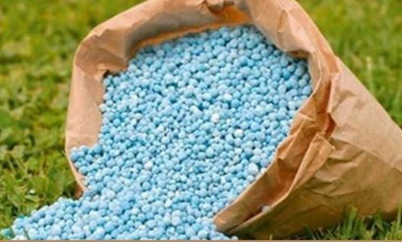 تراجع قيمة صادرات الأسمدة بـ59.6% لتسجل 136.7 مليون دولار خلال نوفمبر الماضي