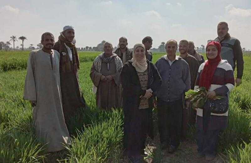 الزراعة: معهد أمراض النباتات يستعرض أنشطته البحثية والخدمية والإرشادية والتدريبية خلال شهر يناير 2024| صور