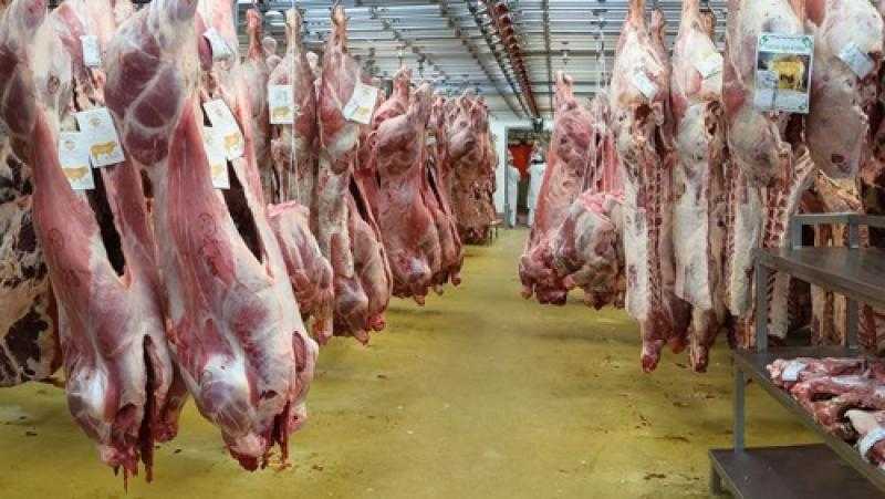 الزراعة: توفير اللحوم البلدية بـ300 جنيه