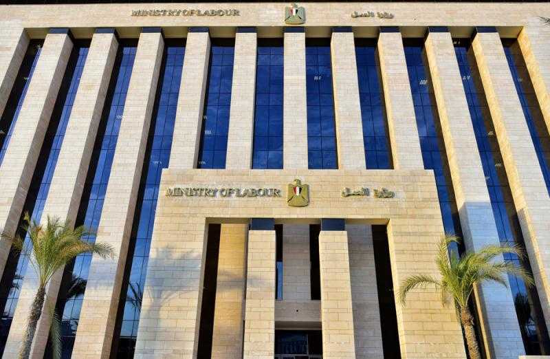 ورشة عمل «أون لاين» بين مصر والسعودية لتوعية شركات إلحاق العمالة |صور