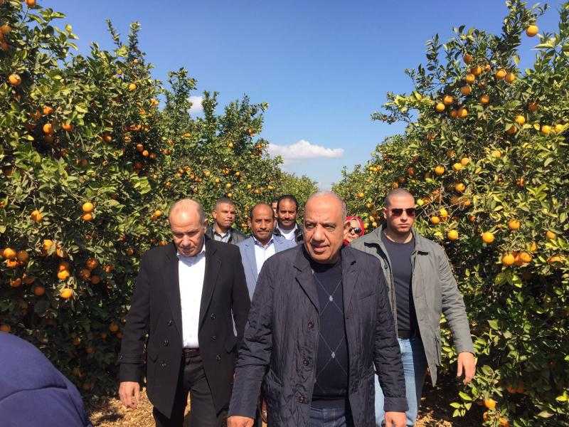 وزير قطاع الأعمال: التوسع في زراعة محصولي القمح وبنجر السكر بالصالحية