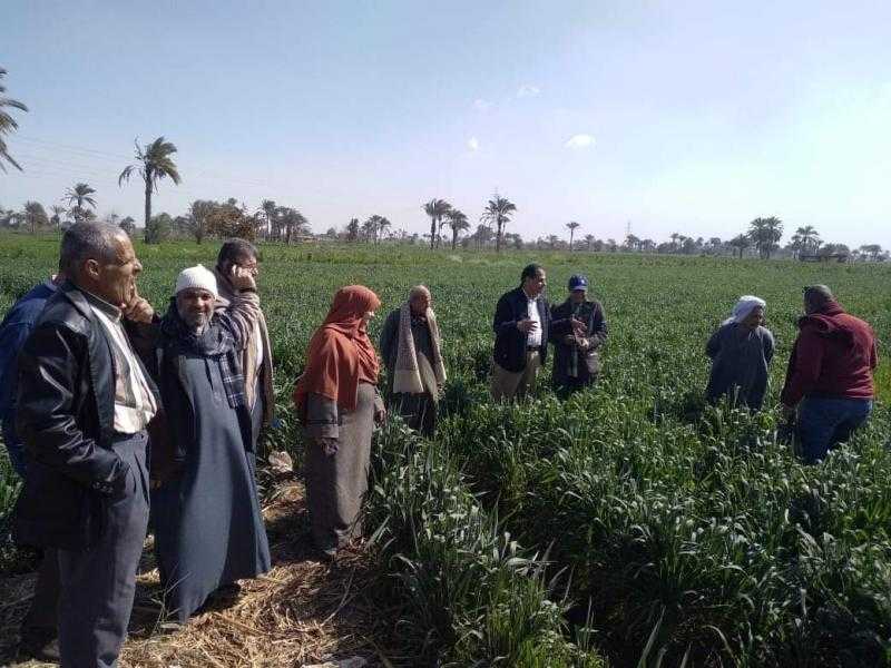 زراعة المنيا تنظم برامج تدريبية بعنوان ”مطبقي مبيدات الٱفات”.. صور