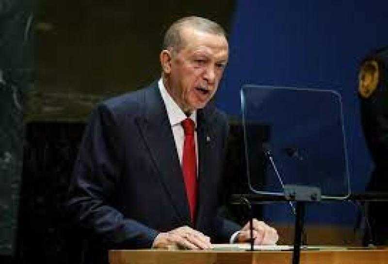 أردوغان: ننتظر زيارة الرئيس عبدالفتاح السيسي أنقرة