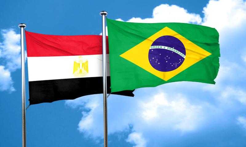 أستاذ اقتصاد: أفق واسع ومكاسب كبيرة من التعاون بين مصر والبرازيل