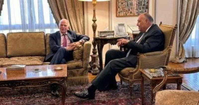 شكري وبوريل يؤكدان حرصهما على العمل المشترك لتحقيق انفراجة في الوضع المتأزم في قطاع غزة