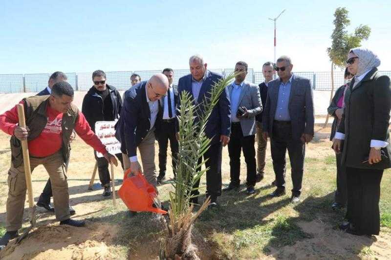 وزير الإسكان يغرس نخلة في إطار مبادرة للتوسع في زراعة النخيل بالوادي الجديد |صور