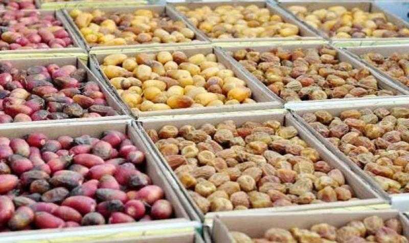 الفاو تطلق استراتيجية تطوير قطاع زراعة النخيل وإنتاج التمور بمصر