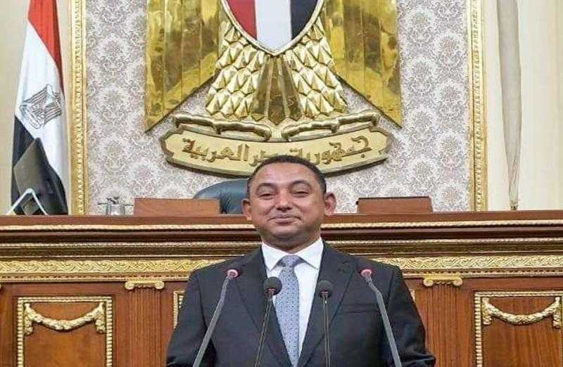 ناصر عثمان: نجاح الحكومة في جذب الاستثمارات الأجنبية الضخمة يأتي نتاجًا لخطوات استباقية