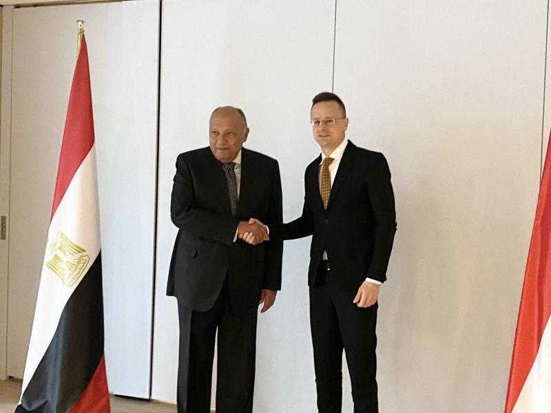 وزير الخارجية يبحث تنسيق التعاون المشترك مع نظيره المجري في مستهل زيارته للمجر