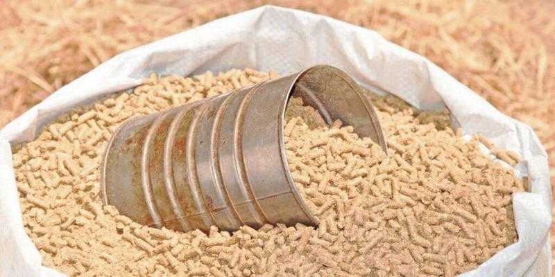 انخفاض أسعار خامات الأعلاف بنسبة 26% تزامنا مع تراجع الدولار بالسوق الموازية