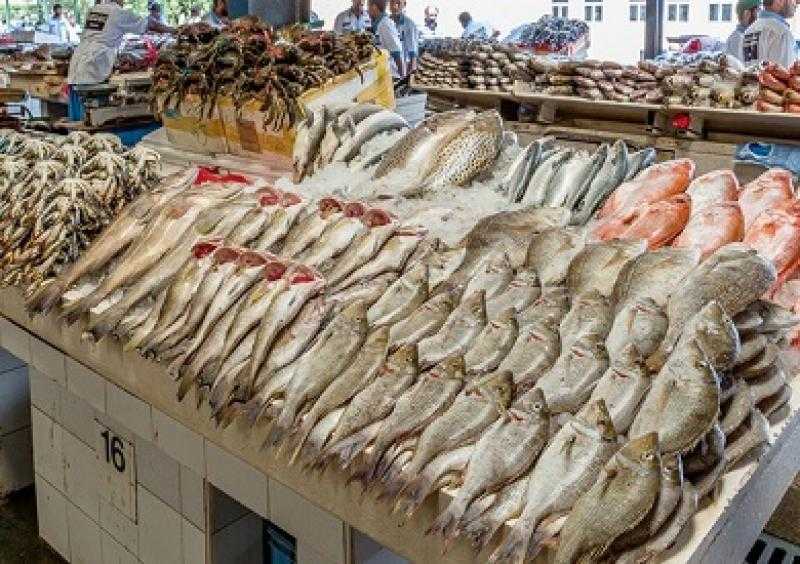 أسعار الأسماك بسوق العبور للجملة اليوم