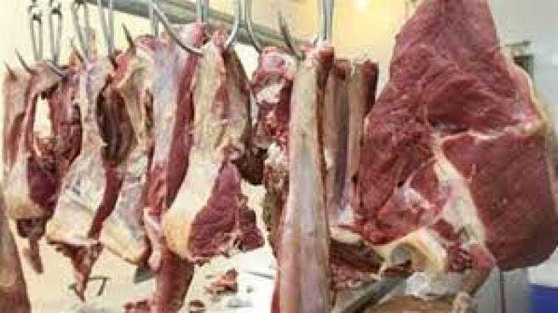 وزارة الزراعة تطرح اللحوم البلدي بسعر 300 جنيه للكيلو
