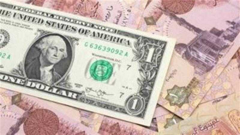خبير اقتصادي: الرئيس السيسي لديه وجهة نظر من تحرير سعر الصرف
