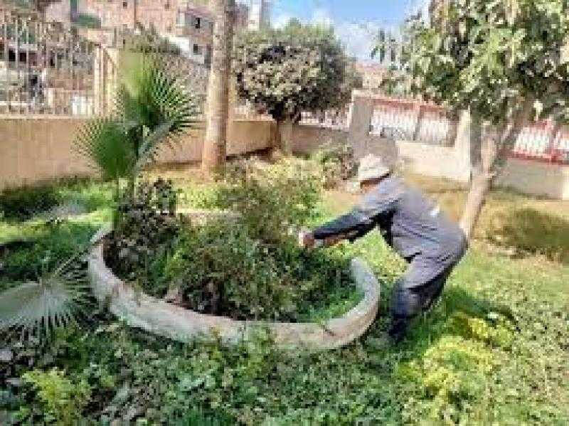 ضمن المبادرة الرئاسية.. زراعة 60 نبتة بحدائق المنتزه ثان بالإسكندرية