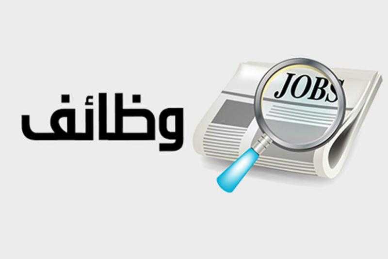 برواتب تبدأ من 3500 جنيه... ”العمل” تطرح 1638 فرصة عمل بـ13 محافظة