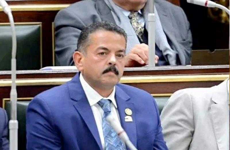 حافظ عمران: القضية الفلسطينية تتواجد كقضية أولى على أجندة الوطن ومساعدات مصر للقطاع الأكثر عربيا وعالميا