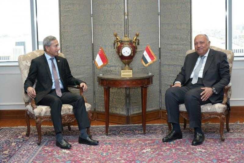 وزير الخارجية يجري مباحثات مع نظيره السنغافوري.. وغزة تتصدر المناقشات