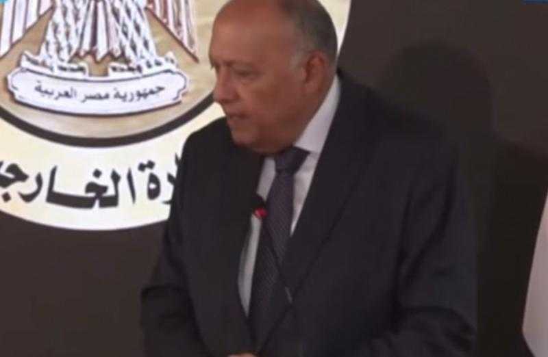 وزير الخارجية يدعو لوقف فورى لإطلاق النار فى قطاع غزة