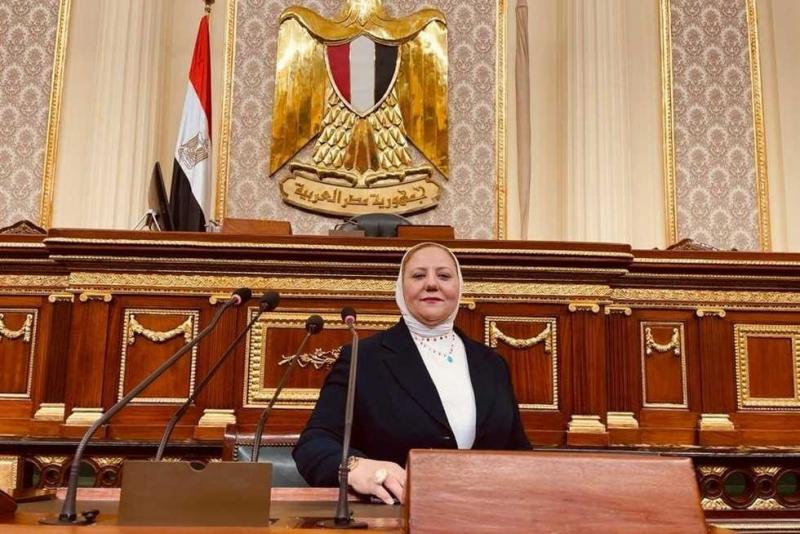 نائبة: مشروع مستقبل مصر يستهدف تعزيز الأمن الغذائي وجذب الاستثمارات بالقطاع الزراعي