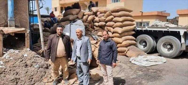 زراعة بني سويف: توزيع 11 ألف شيكارة بذرة قطن للتشجيع على زراعته بمساحات كبيرة