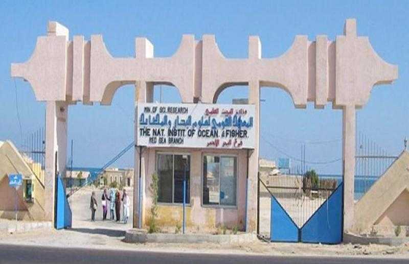 المعهد القومي لعلوم البحار ينجح في الحصول على براءة اختراع جديدة
