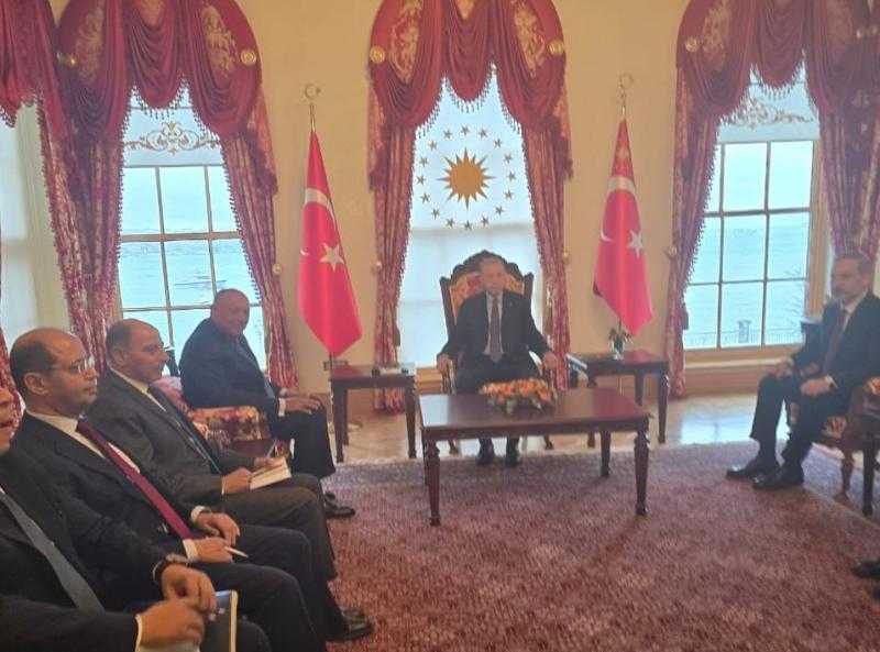 مصر وتركيا تؤكدان ضرورة التوصل لوقف فوري ودائم لإطلاق النار في غزة