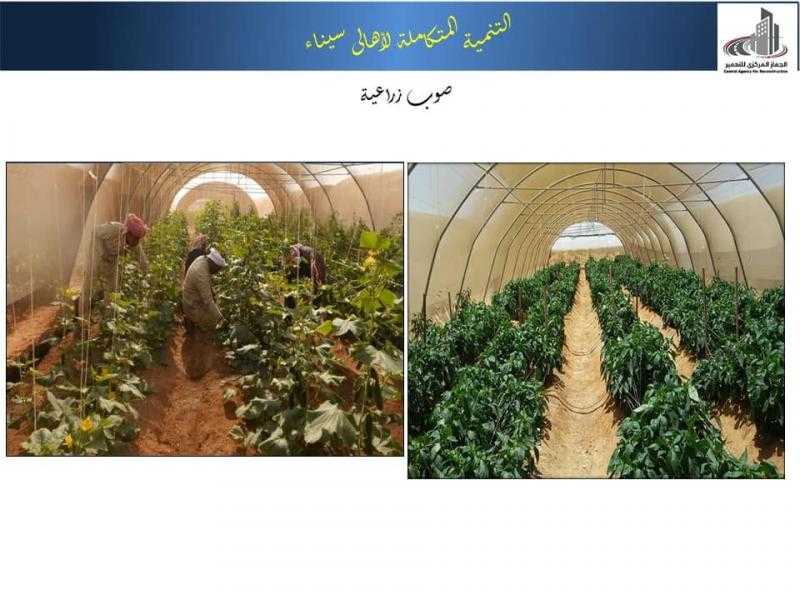 في الذكرى الـ42 لتحريرها.. وزير الإسكان: 522 مشروعا في سيناء خلال 10 سنوات